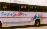 Buses & Minibuses